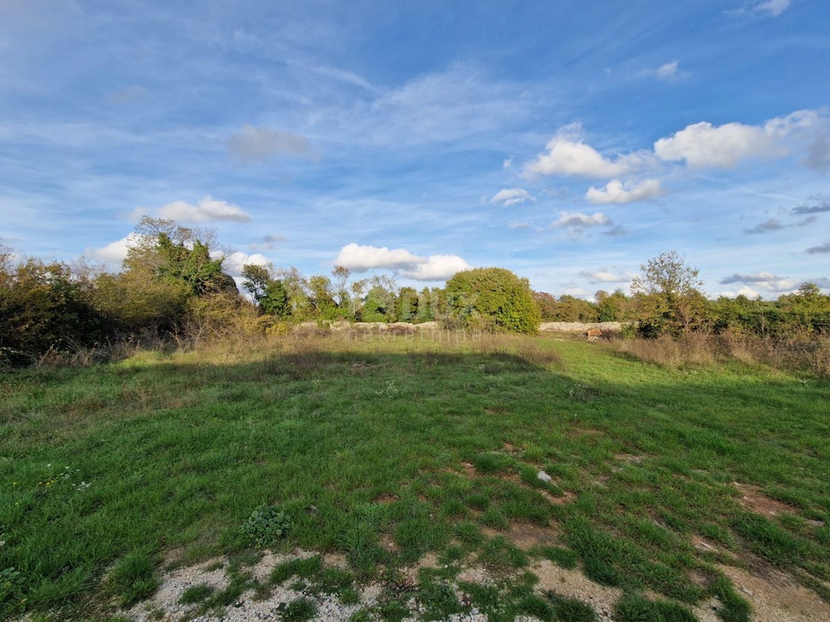 Terrain À vendre - Istarska Svetvinčenat - foto 3/8