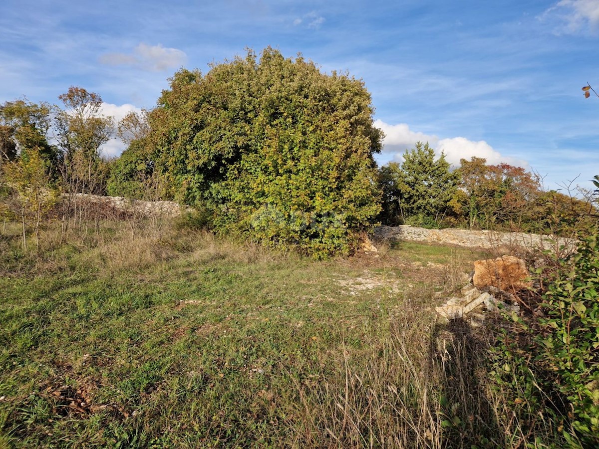 Terrain À vendre - ISTARSKA SVETVINČENAT