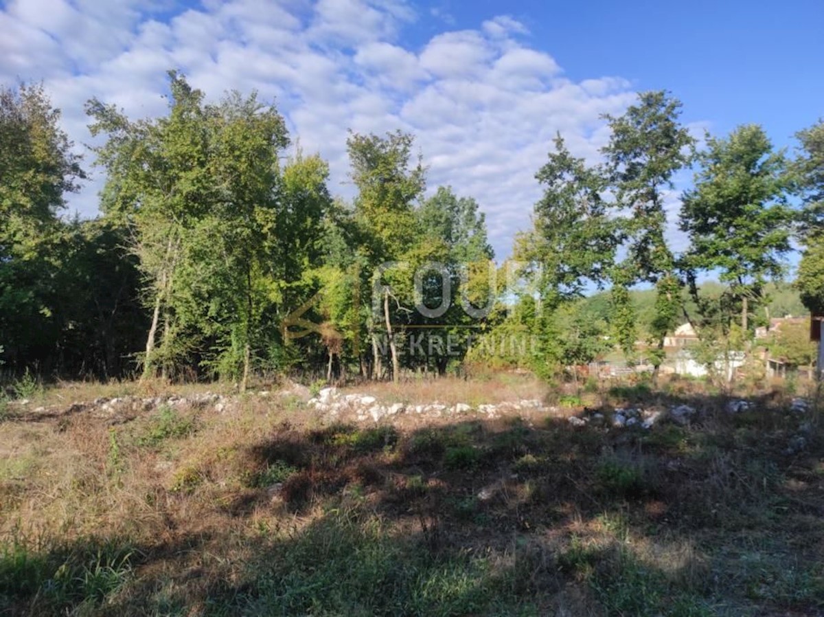 Land For sale - ISTARSKA KAROJBA