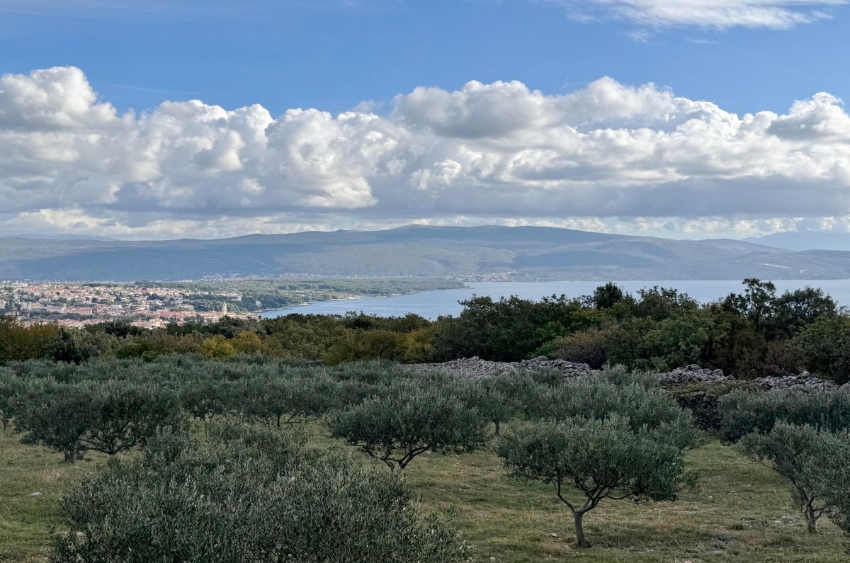 Haus Zu verkaufen - PRIMORSKO-GORANSKA KRK