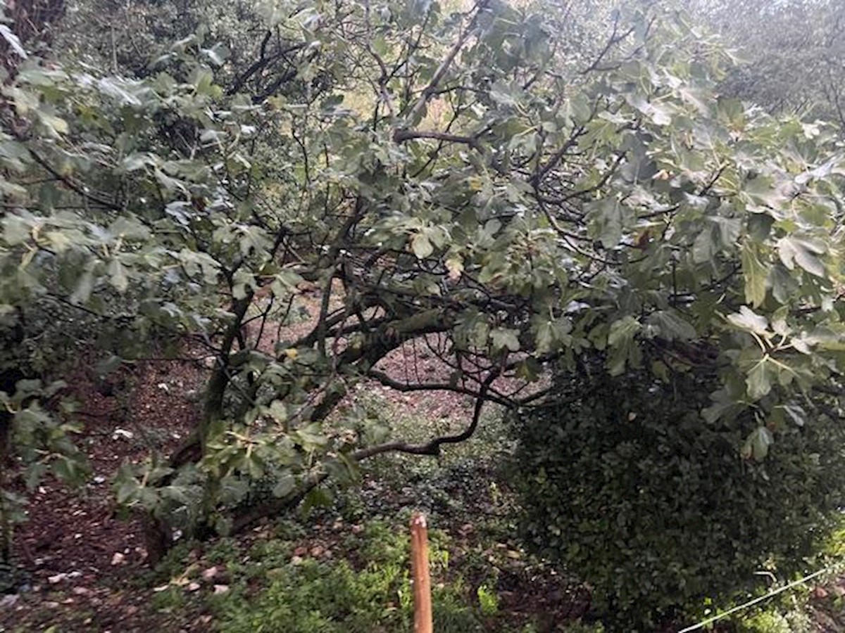 Terreno In vendita - PRIMORSKO-GORANSKA VINODOLSKA OPĆINA