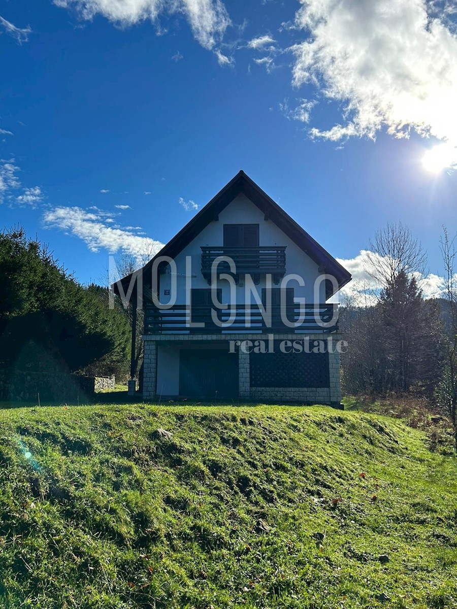 House For sale - Primorsko-goranska Delnice - foto 1/44