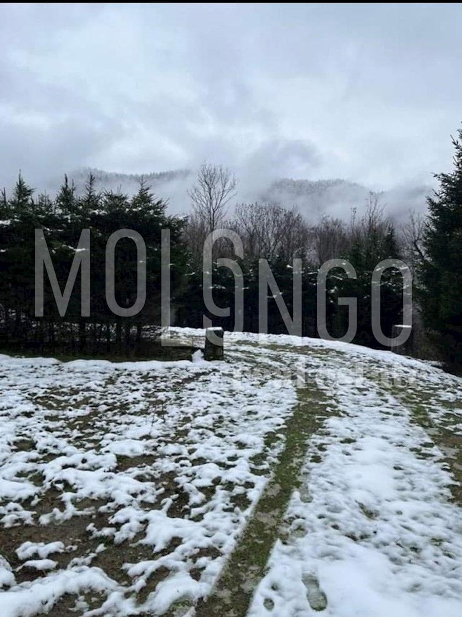 House For sale - PRIMORSKO-GORANSKA DELNICE