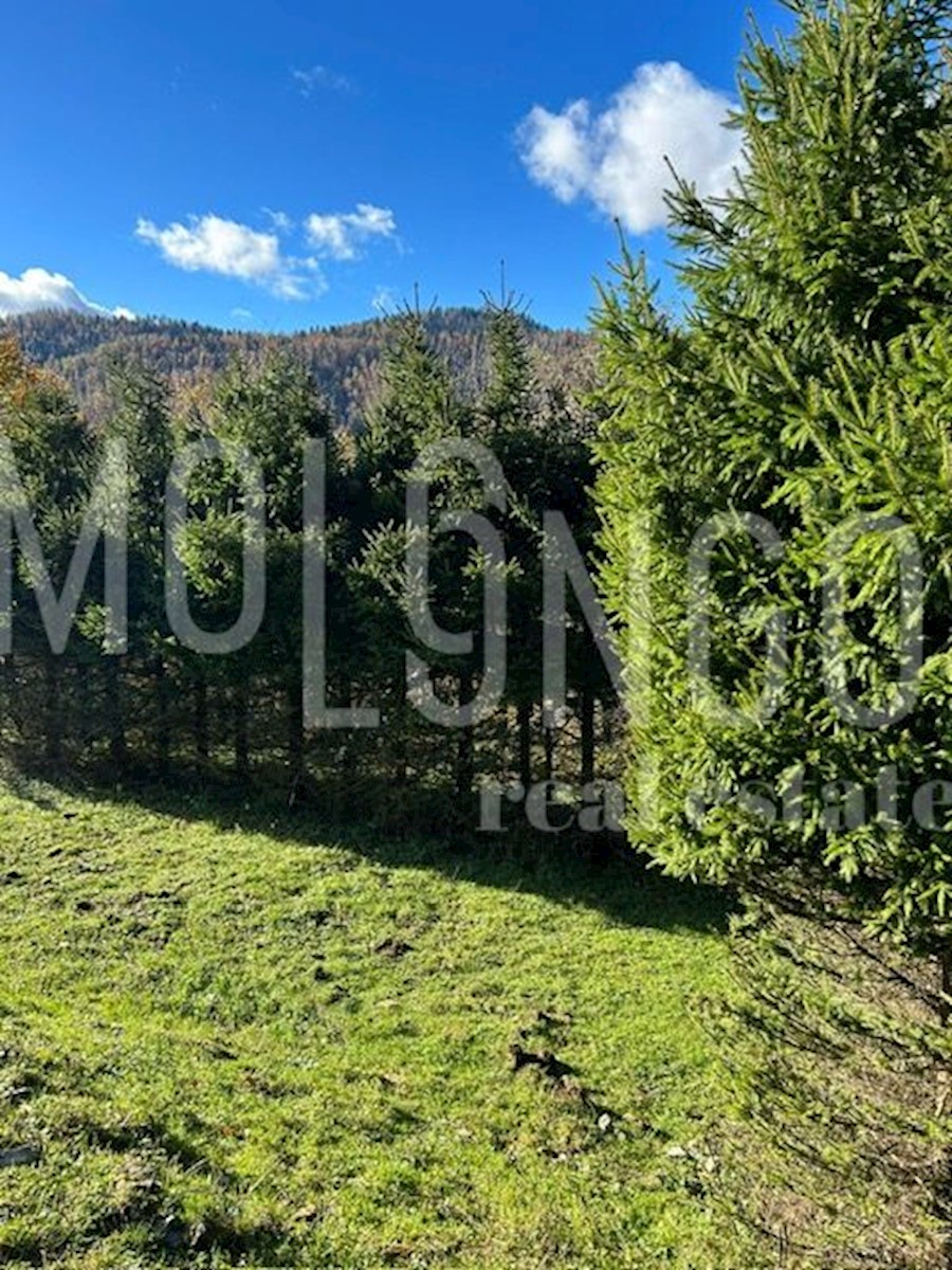 House For sale - PRIMORSKO-GORANSKA DELNICE