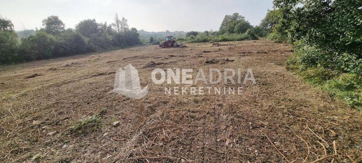 Land for sale 3618 m² – Brtonigla