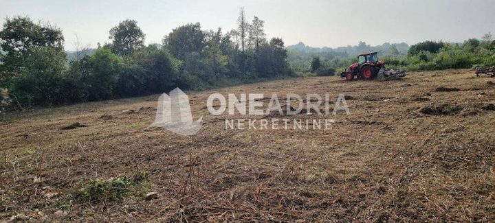 Działka Na sprzedaż - Istarska Brtonigla - foto 4/4
