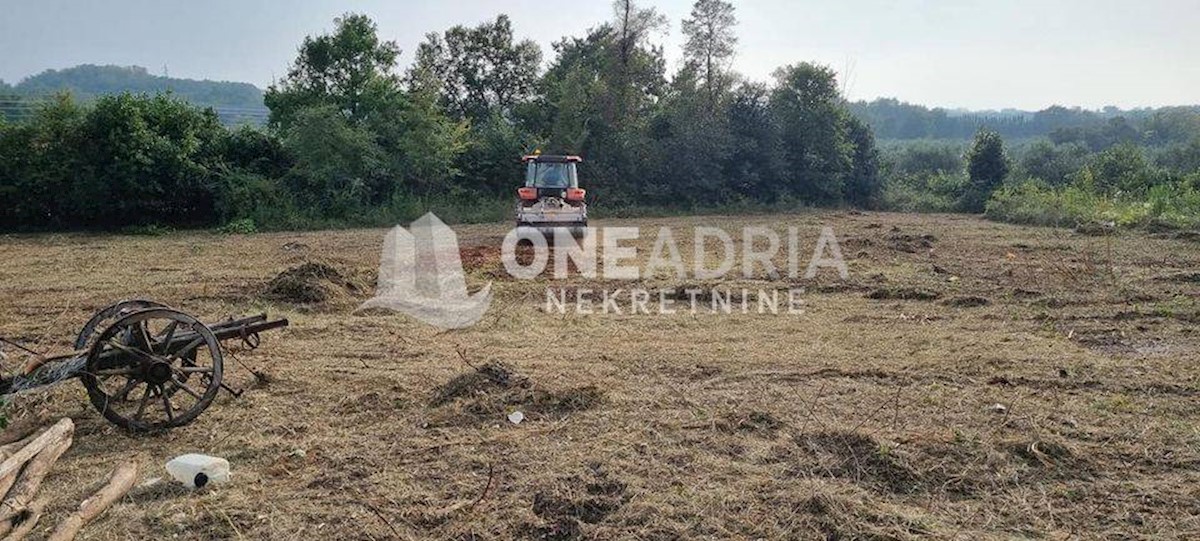 Zemljište Na prodaju - ISTARSKA BRTONIGLA