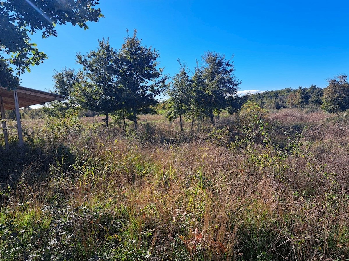 Land For sale - ISTARSKA POREČ