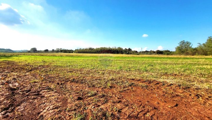 Land for sale 1248 m² – Umag