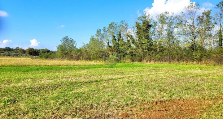 Land for sale 2496 m² – Umag