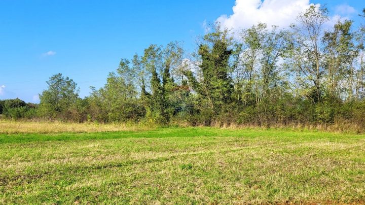 Terreno In vendita - Istarska Umag - foto 5/5