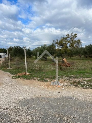 Terrain À vendre - Zadarska Poličnik - foto 2/5