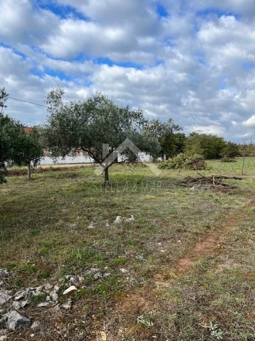 Terrain À vendre - Zadarska Poličnik - foto 4/5