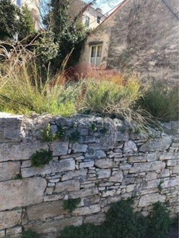 Land For sale - Istarska Pula - foto 2/2