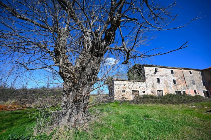 Hiša Naprodaj - Istarska Vižinada - foto 3/11