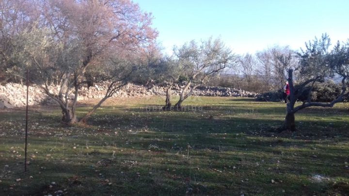 Terreno In vendita - Primorsko-goranska Krk - foto 3/3