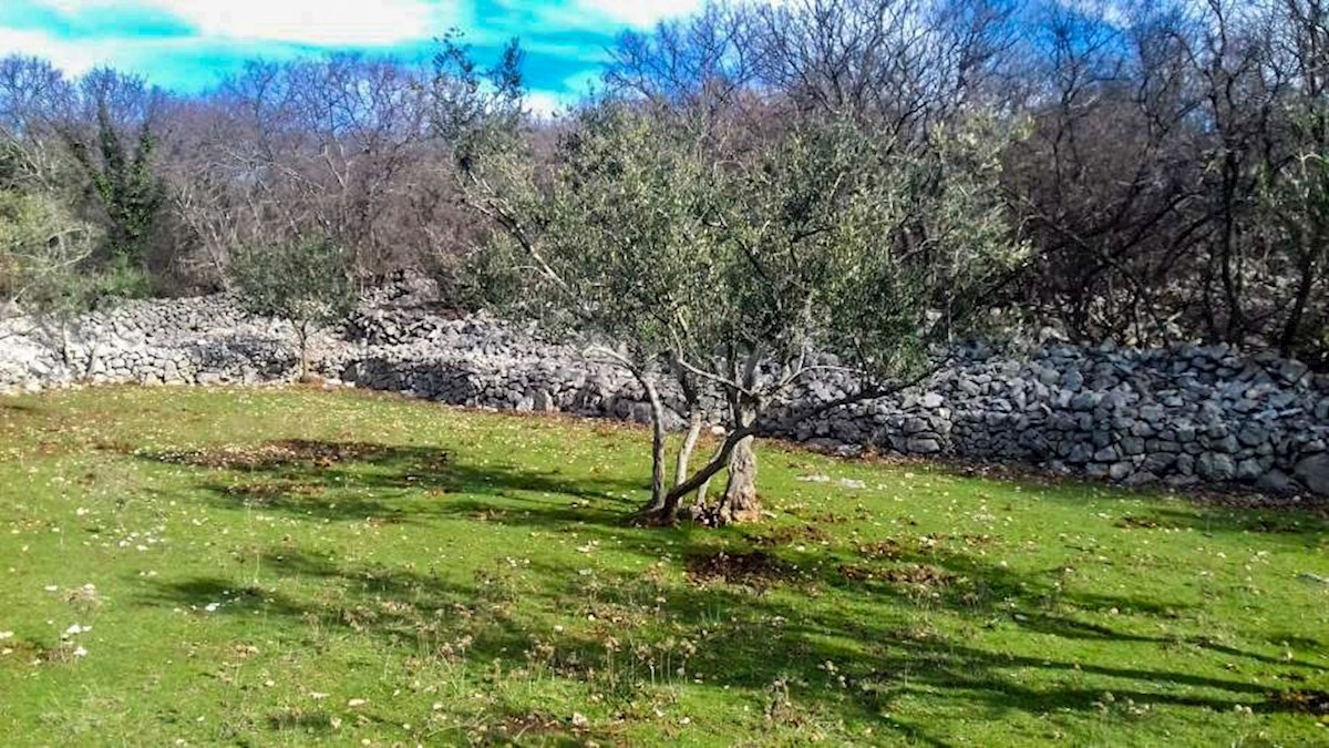 Land For sale - PRIMORSKO-GORANSKA Krk