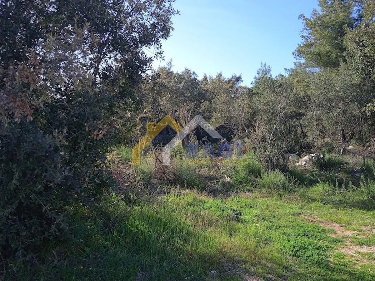 Terreno In vendita - ZADARSKA PAŠMAN