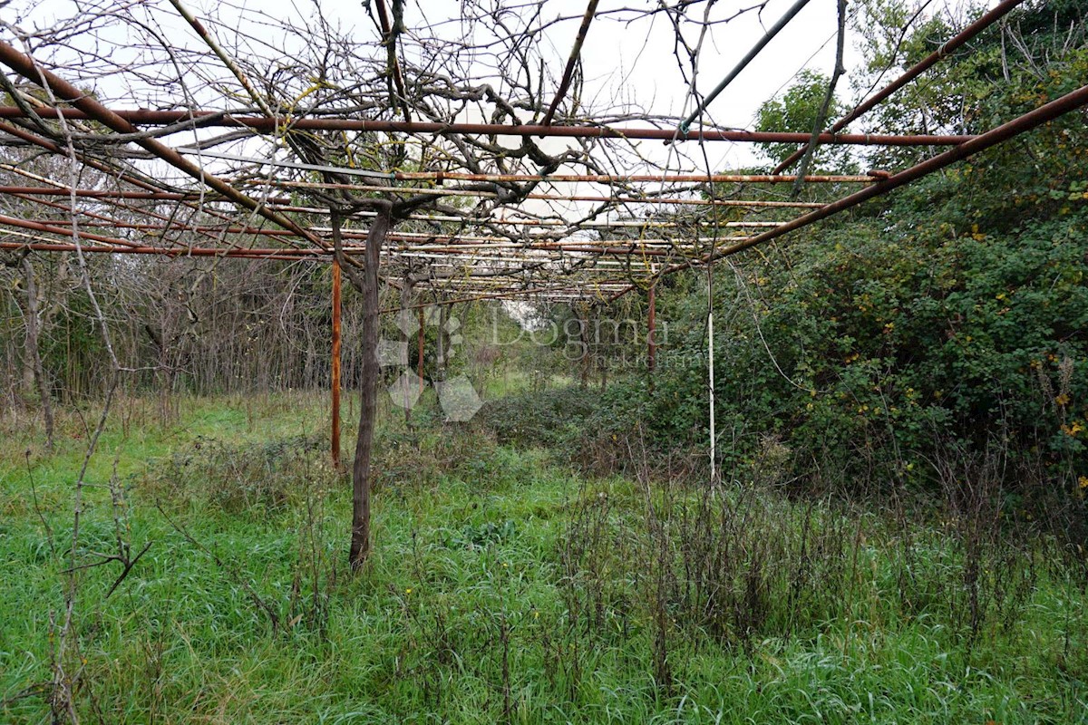 Land For sale - ISTARSKA Pula