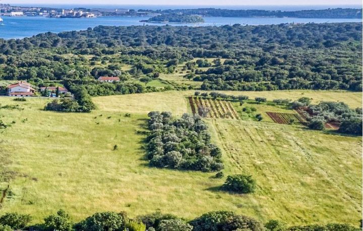 Land For sale - Istarska Pula - foto 2/2