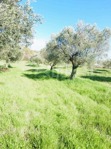 Parcela Naprodaj - Istarska Bale - foto 2/13