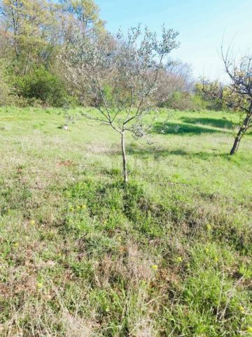 Parcela Naprodaj - Istarska Bale - foto 3/13