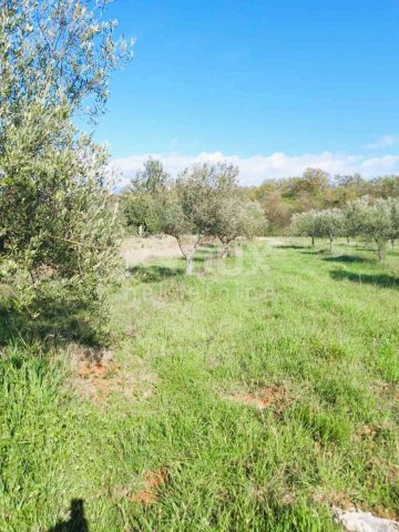 Parcela Naprodaj - Istarska Bale - foto 4/13