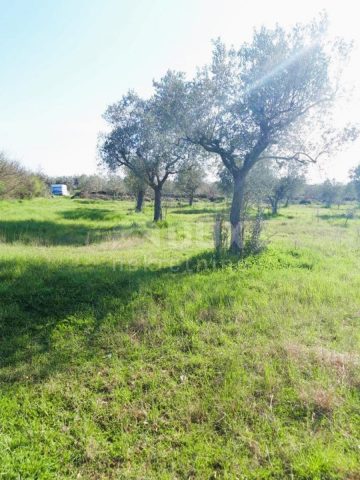 Parcela Naprodaj - Istarska Bale - foto 5/13