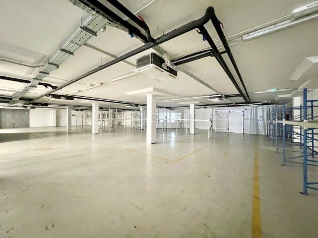 Gewerbefläche zu verkaufen 2981 m² – Škurinje