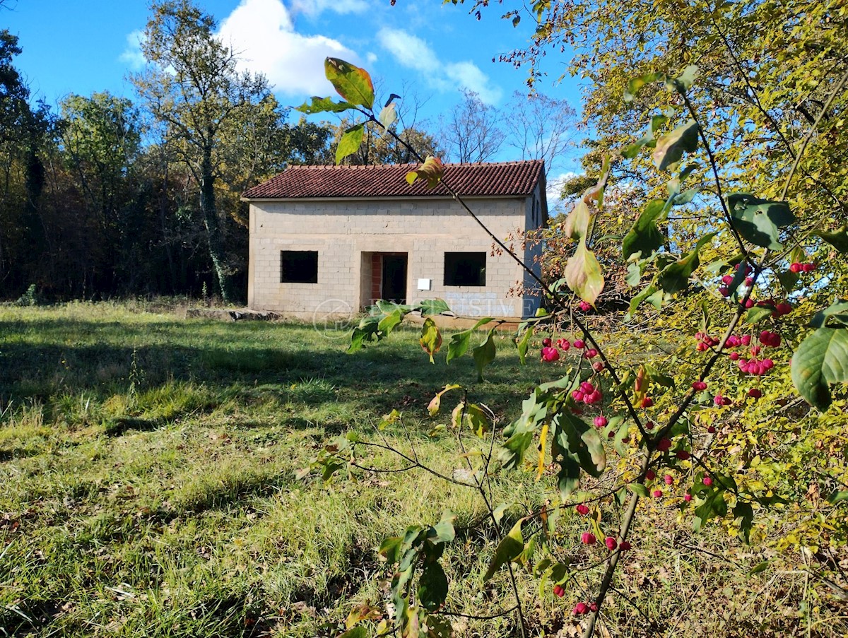 Dom Na predaj - ISTARSKA VIŠNJAN