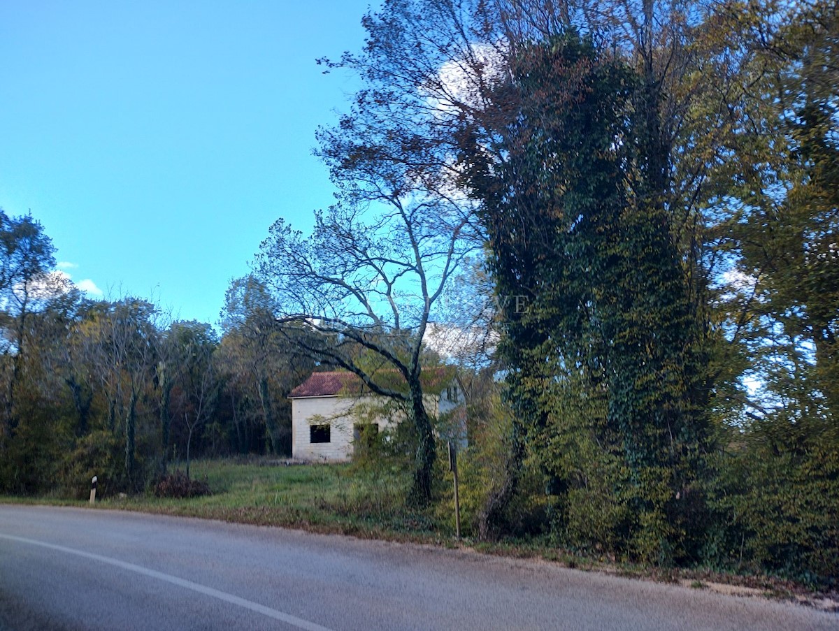 Haus Zu verkaufen - ISTARSKA VIŠNJAN