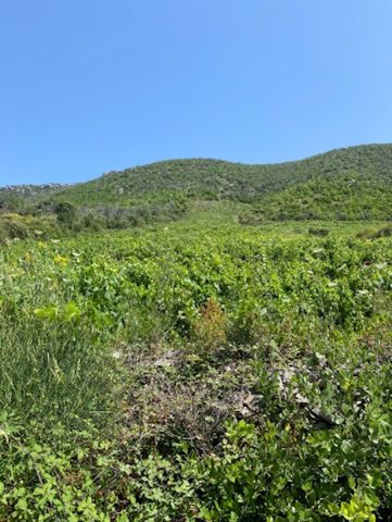 Pozemok na predaj 15164 m² – Janjina