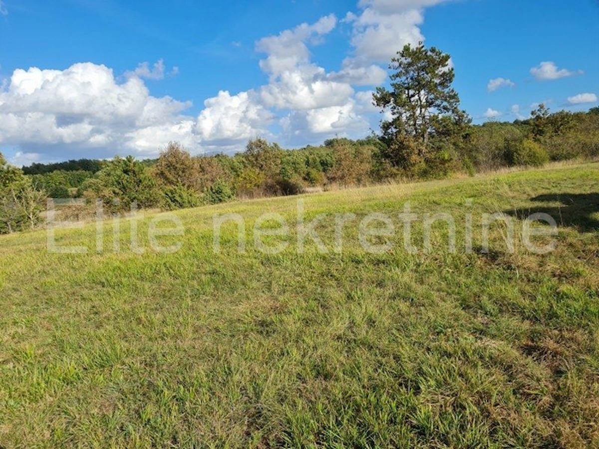 Terreno In vendita - ISTARSKA PAZIN