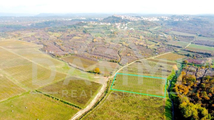 Parcela na predaj 9351 m² – Buje