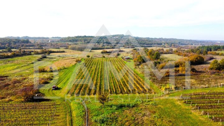 Land For sale - Istarska Buje - foto 2/3