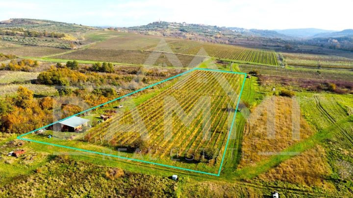 Land For sale - Istarska Buje - foto 3/3