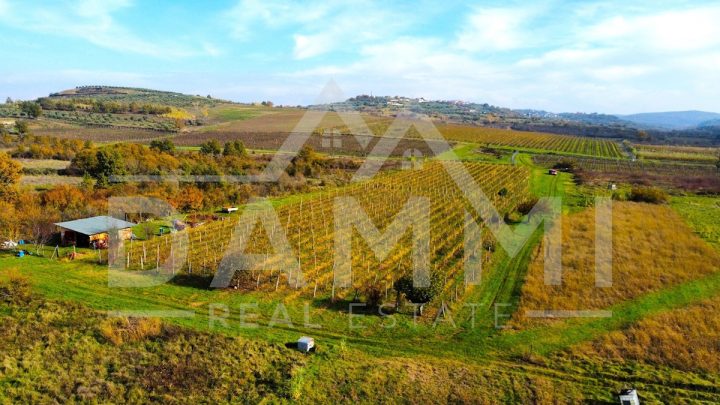 Parcela Naprodaj - Istarska Buje - foto 4/4