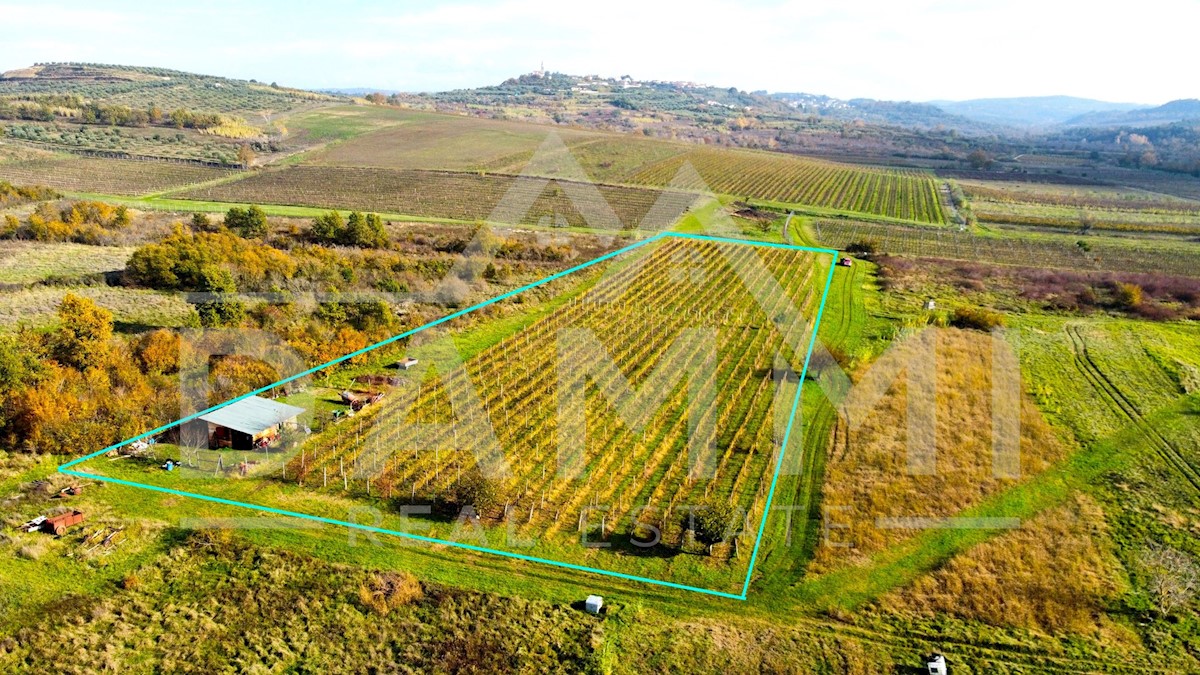 Grundstück Zu verkaufen - ISTARSKA BUJE
