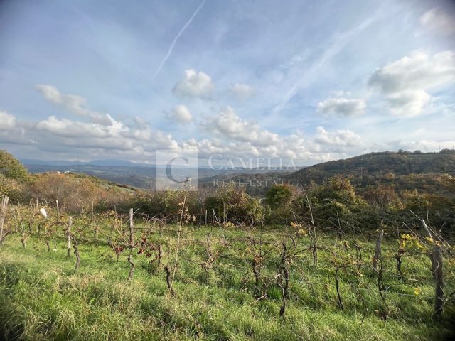 Land For sale - Istarska Pazin - foto 2/10