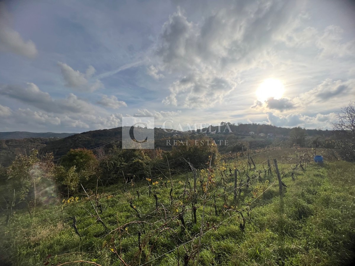 Pozemok Na predaj - ISTARSKA PAZIN