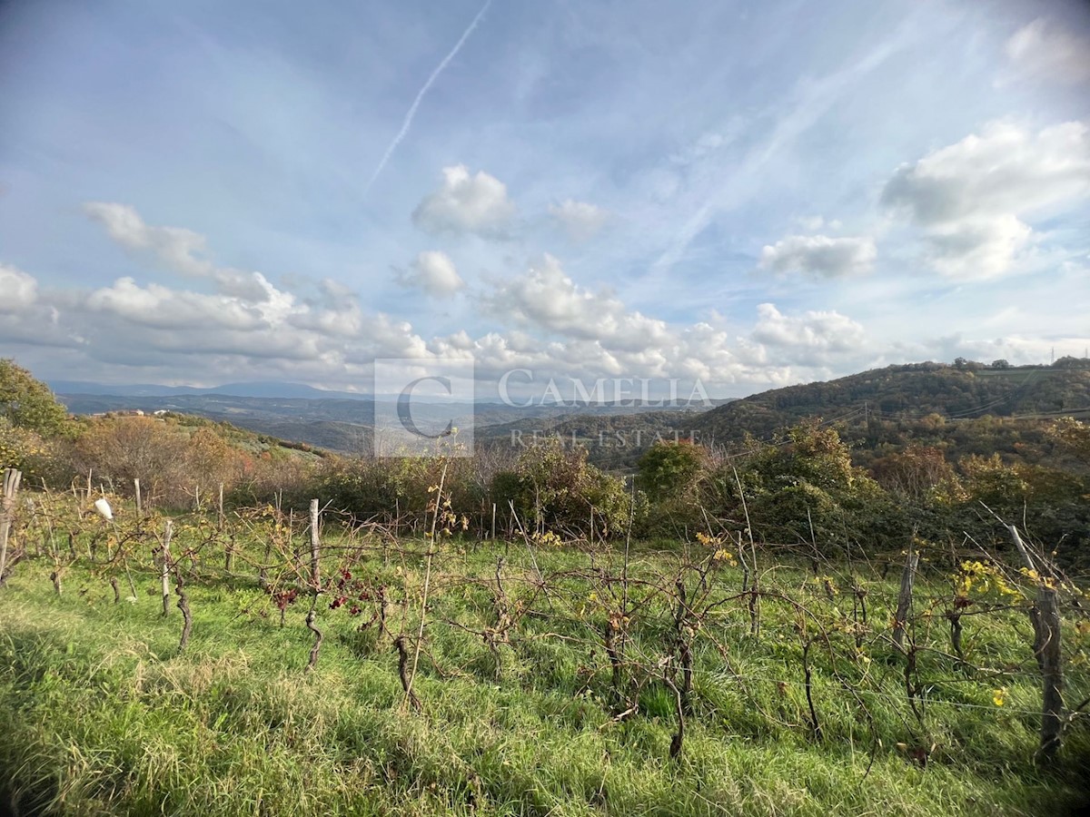 Zemljište Na prodaju - ISTARSKA PAZIN