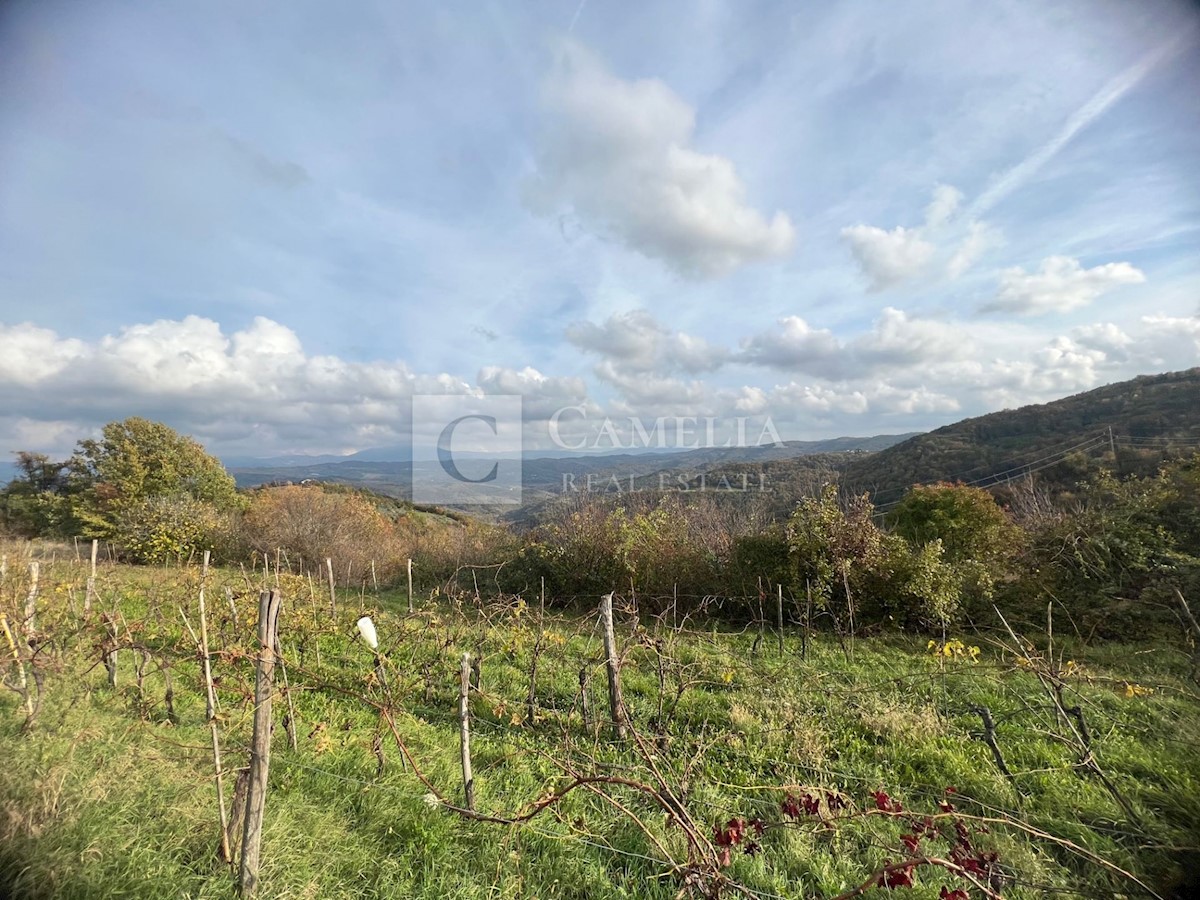 Zemljište Na prodaju - ISTARSKA PAZIN