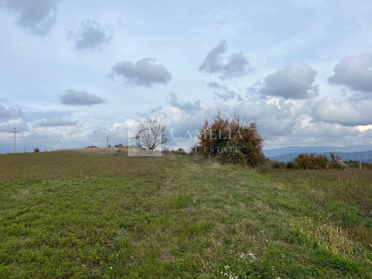 Pozemok Na predaj - ISTARSKA PAZIN