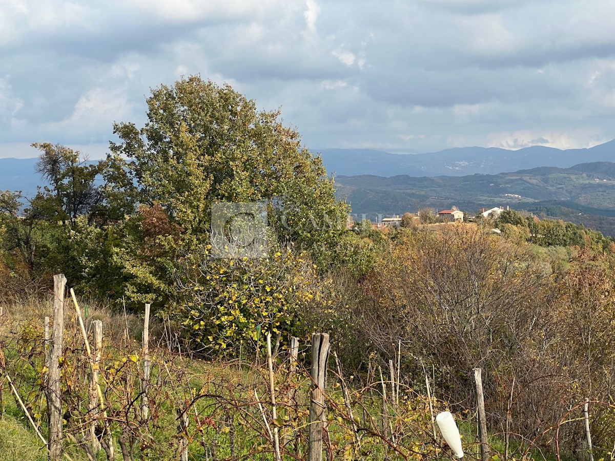 Terreno In vendita - ISTARSKA PAZIN