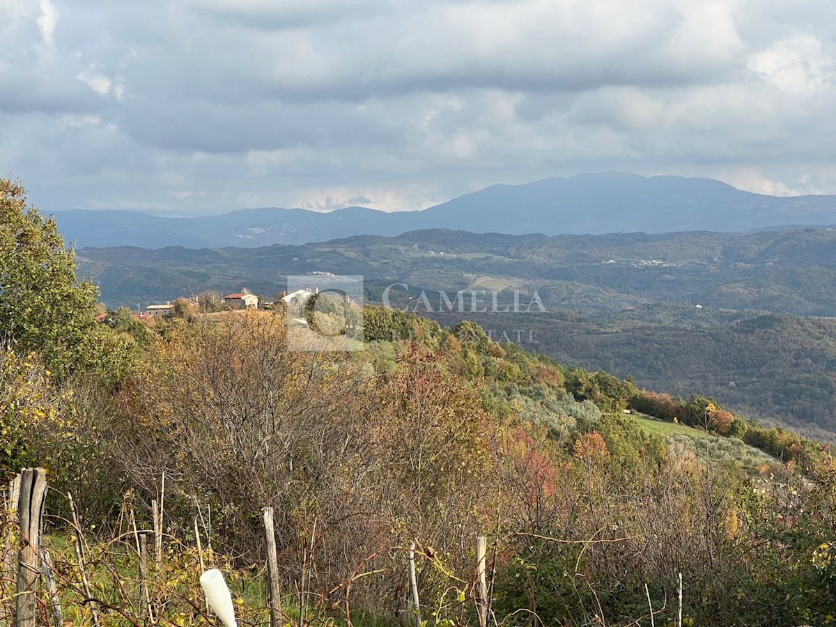 Terreno In vendita - ISTARSKA PAZIN