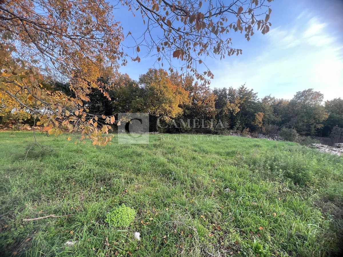 Parcela Na predaj - ISTARSKA MARČANA