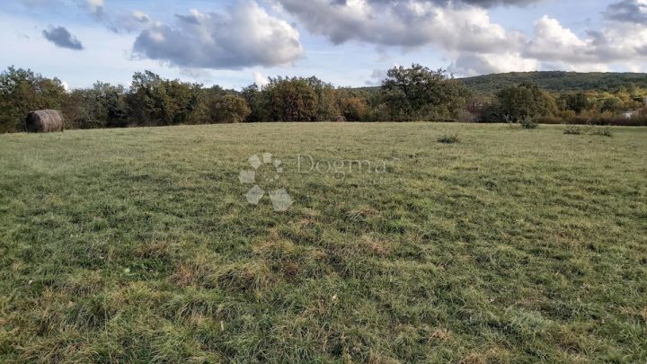Terreno in vendita 22000 m² – Labin