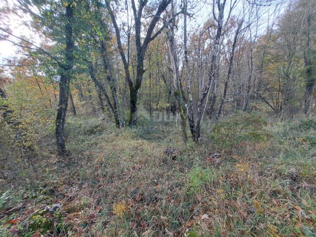 Land For sale - Primorsko-goranska Matulji - foto 2/3
