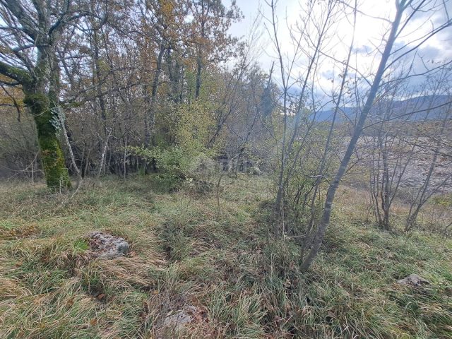 Land For sale - Primorsko-goranska Matulji - foto 3/3