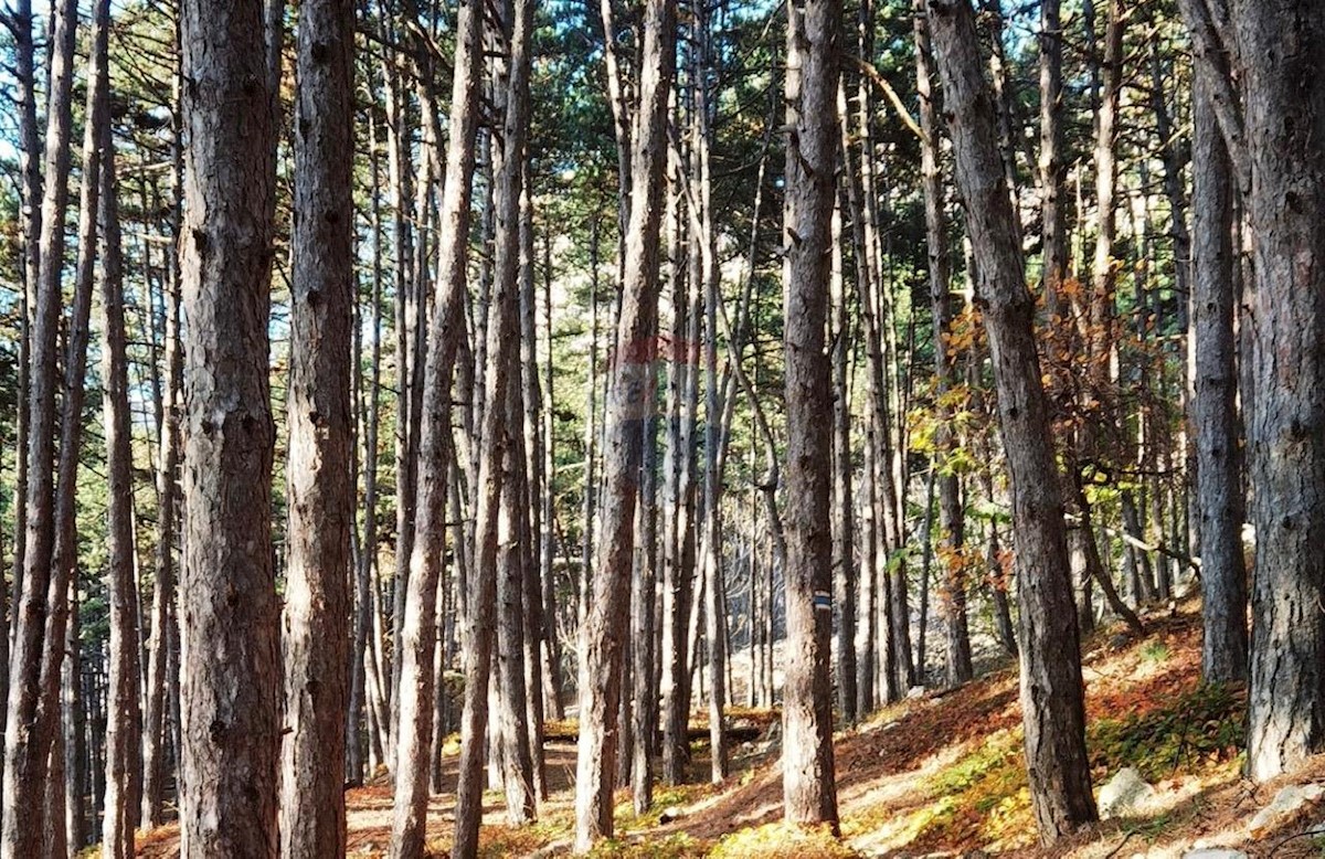 Zemljište Na prodaju - PRIMORSKO-GORANSKA KRK